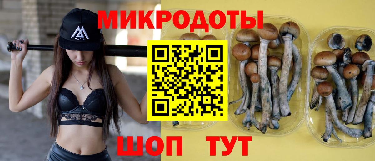 Галлюциногенные грибы MAGIC MUSHROOMS Отрадное