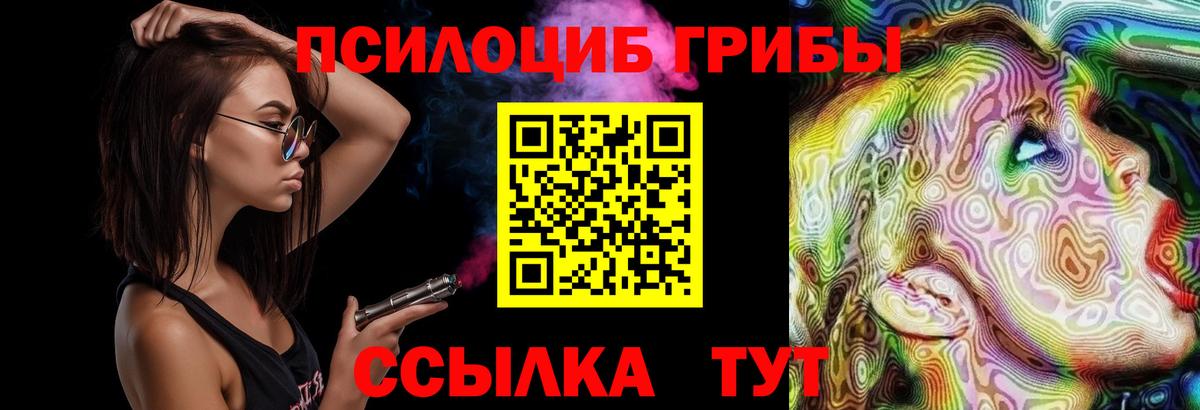 Галлюциногенные грибы Psilocybe  Вход с VPN  Галлюциногенные грибы ЛСД  Отрадное 