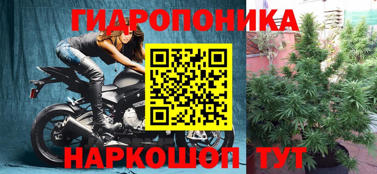 Бошки марихуана гибрид Отрадное